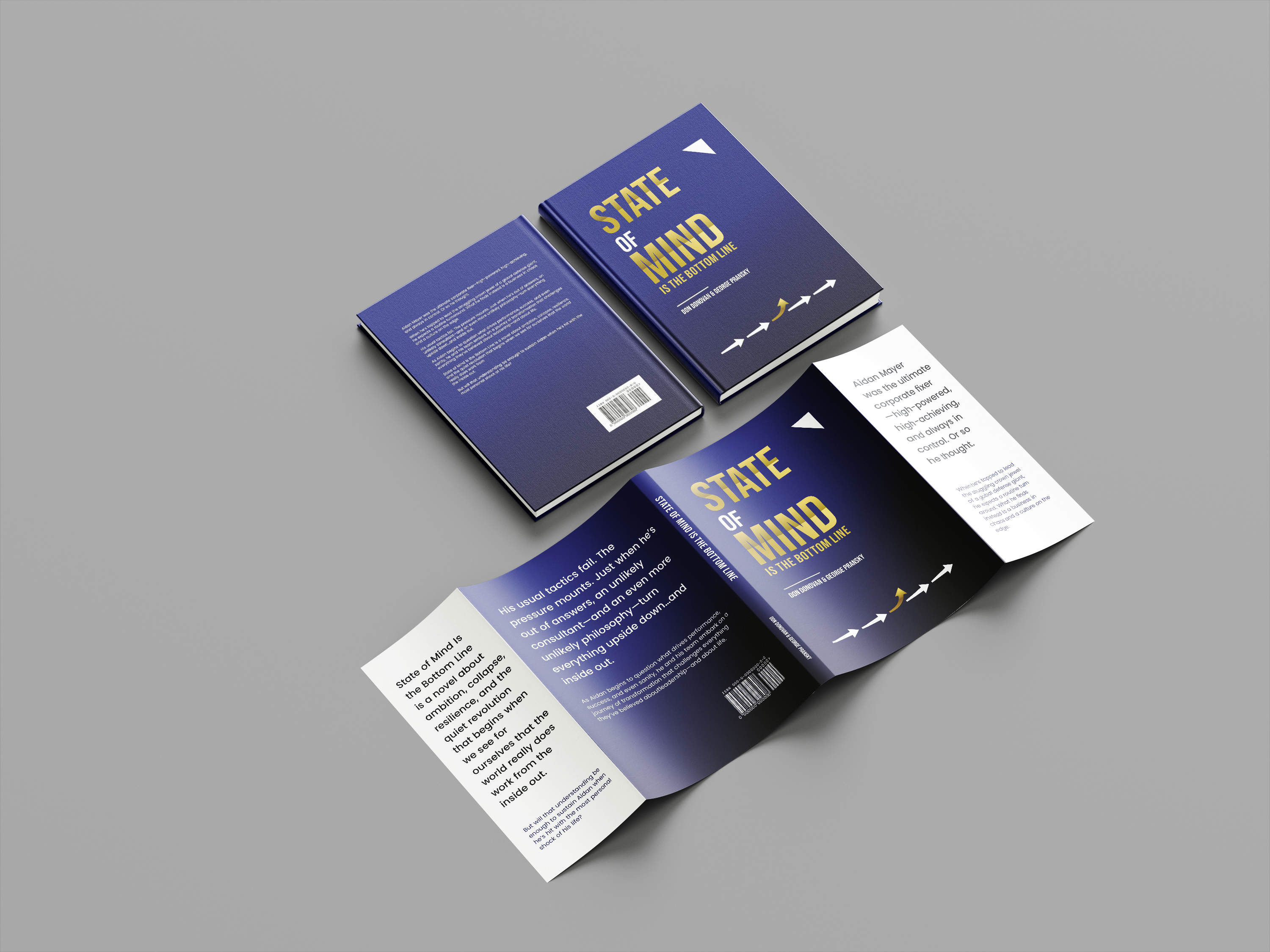 Book Cover Design by dadaMEDIA for Pransky and Associates | Design #36803170