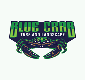 Logo Design by Onse Officials