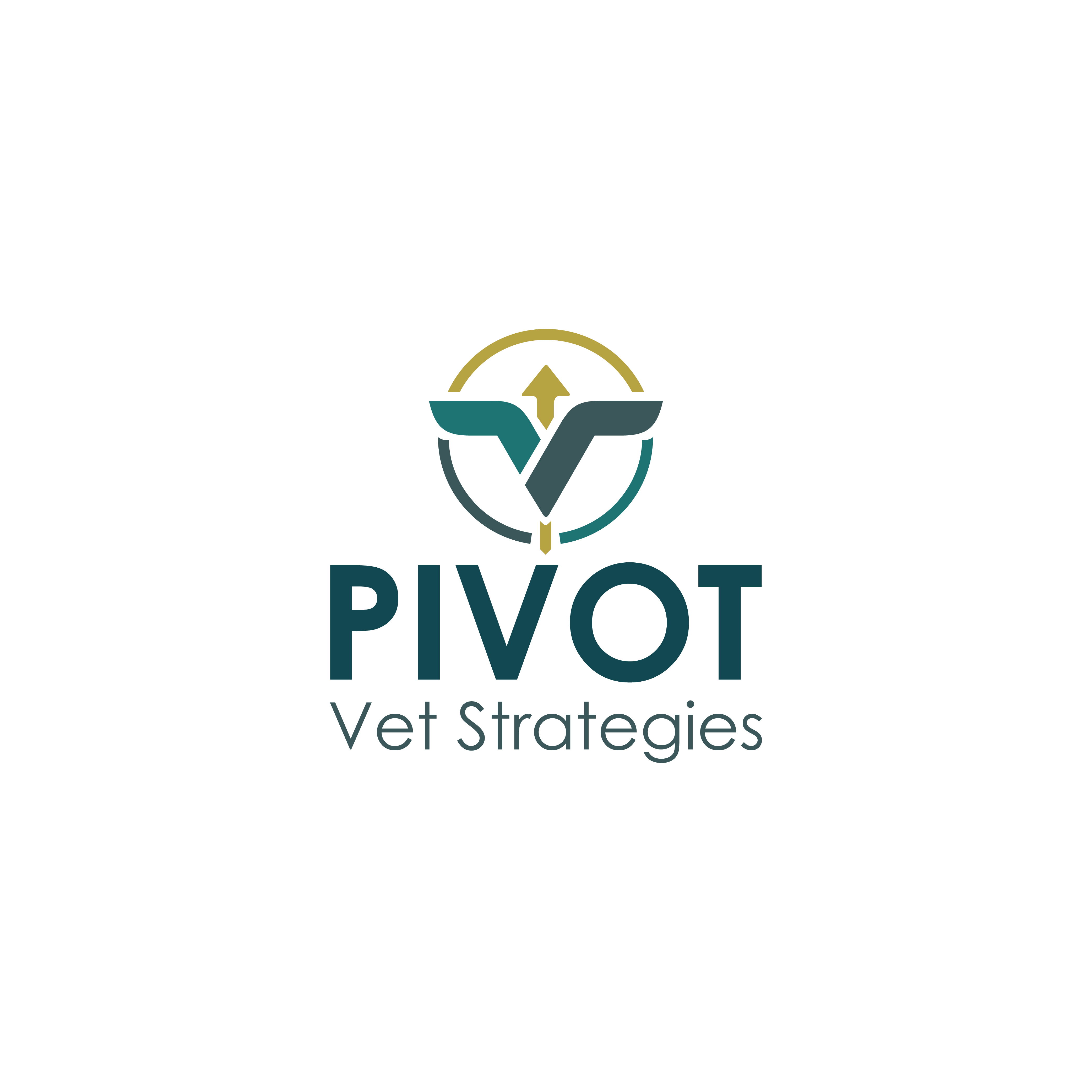 Logo Design by KhushiPatel for this project | Design #36700874