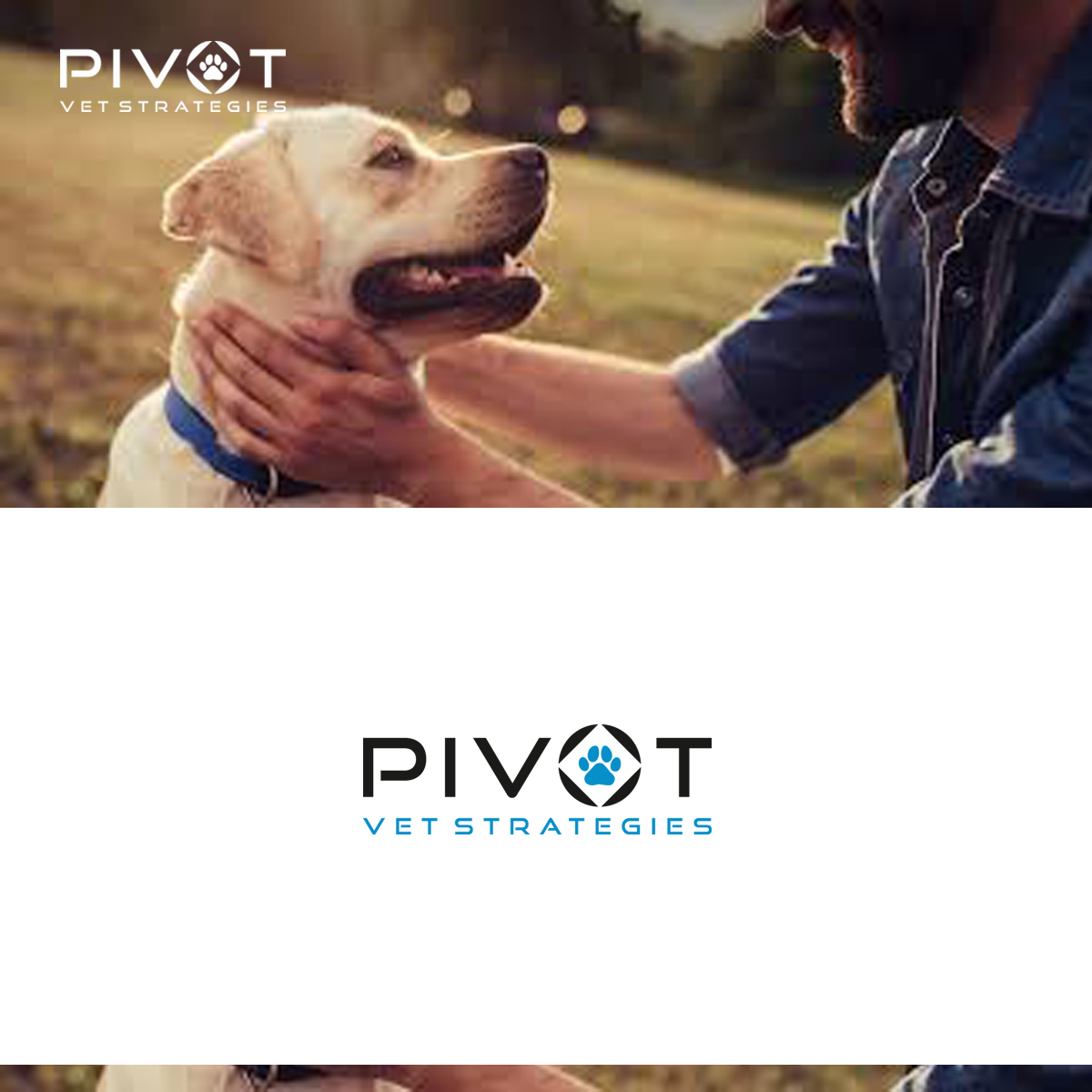 Logo Design by bijuak for this project | Design #36684628