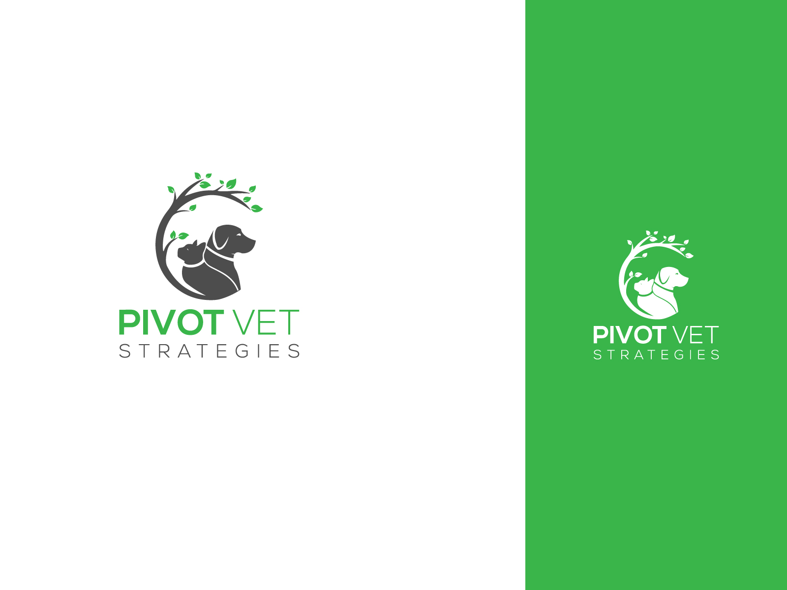 Logo Design by Ben Naveed for this project | Design #36683197