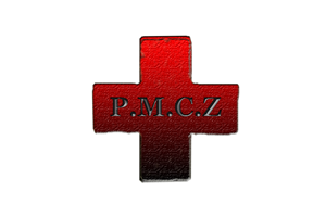 Logo Design by killstreak92