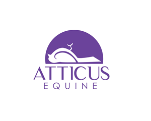 Diseño de Logo por renderman para este proyecto | Diseño #36689150