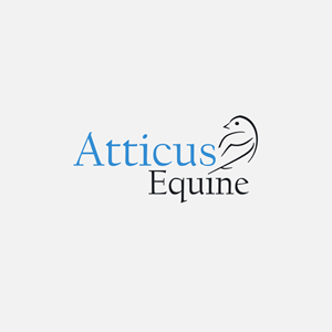 Diseño de Logo por viwe para este proyecto | Diseño: #36709650