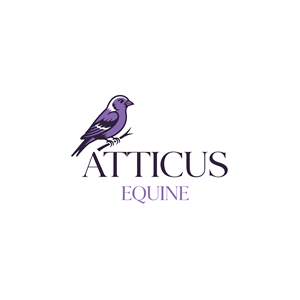 Diseño de Logo por dynamicstudio para este proyecto | Diseño: #36686168