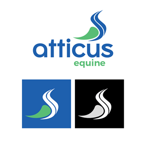 Diseño de Logo por Alpesh Ahir para este proyecto | Diseño: #36685804