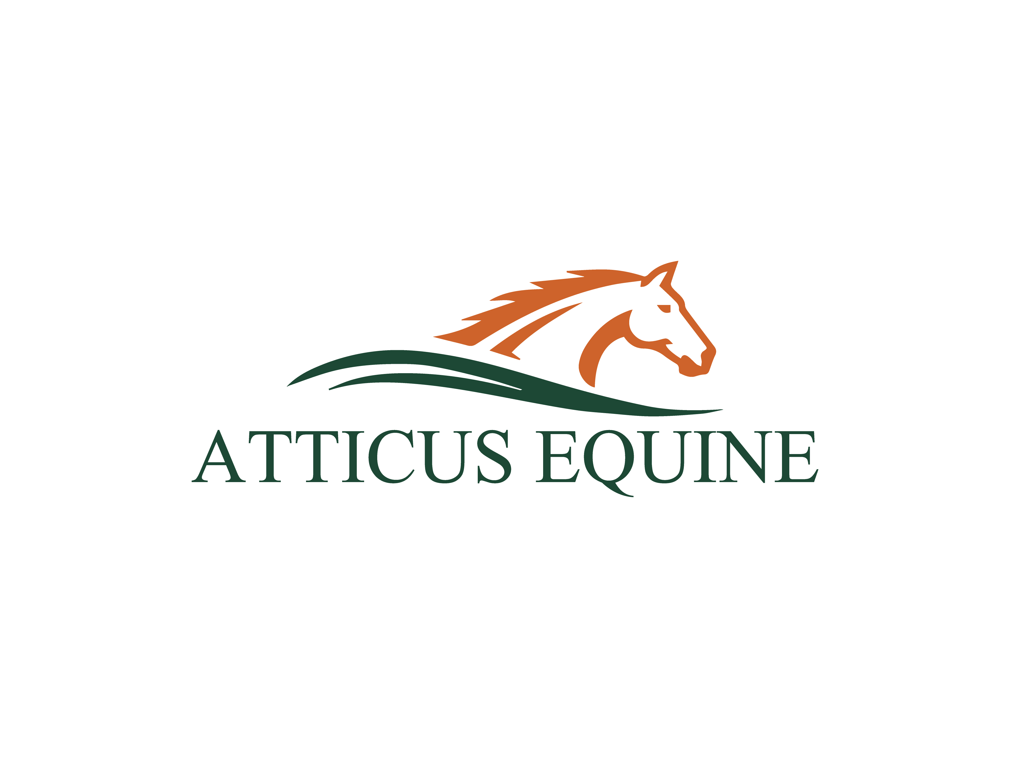 Diseño de Logo por HaveTake para este proyecto | Diseño #36685800