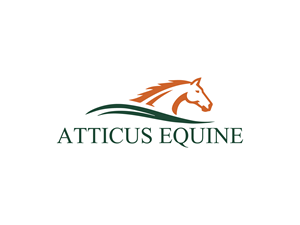 Diseño de Logo por HaveTake para este proyecto | Diseño: #36685800