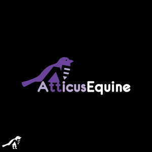 Diseño de Logo por HLGCreativeTeam para este proyecto | Diseño: #36683796