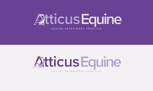 Diseño de Logo por LAONE para este proyecto | Diseño: #36698277