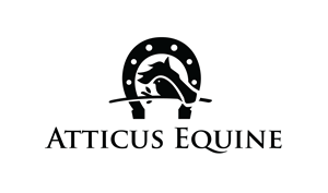 Diseño de Logo por Grafactory para este proyecto | Diseño: #36695813