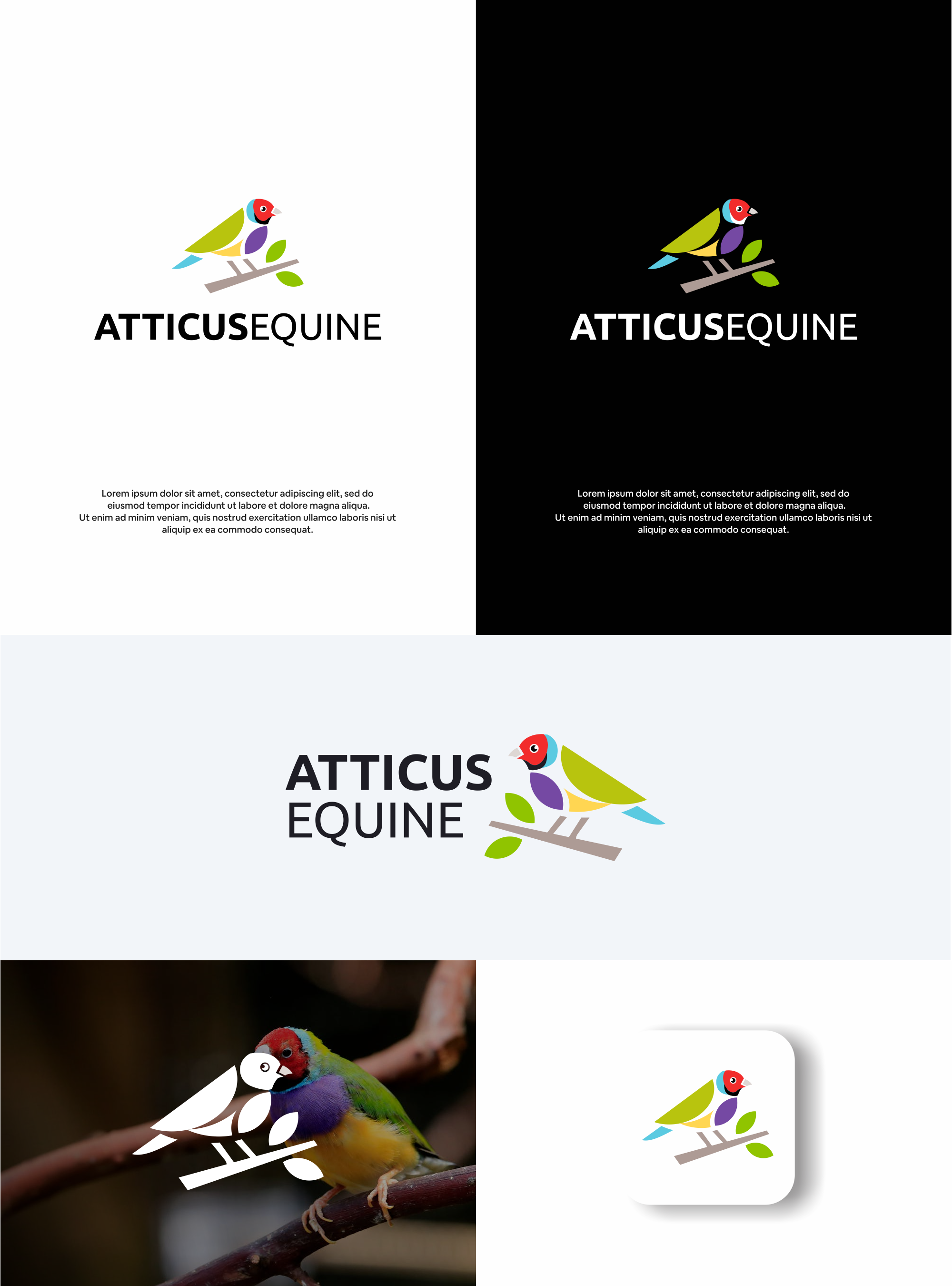 Diseño de Logo por DesignFirst para este proyecto | Diseño #36684683