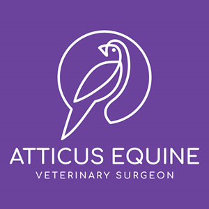 Logo Design by handart