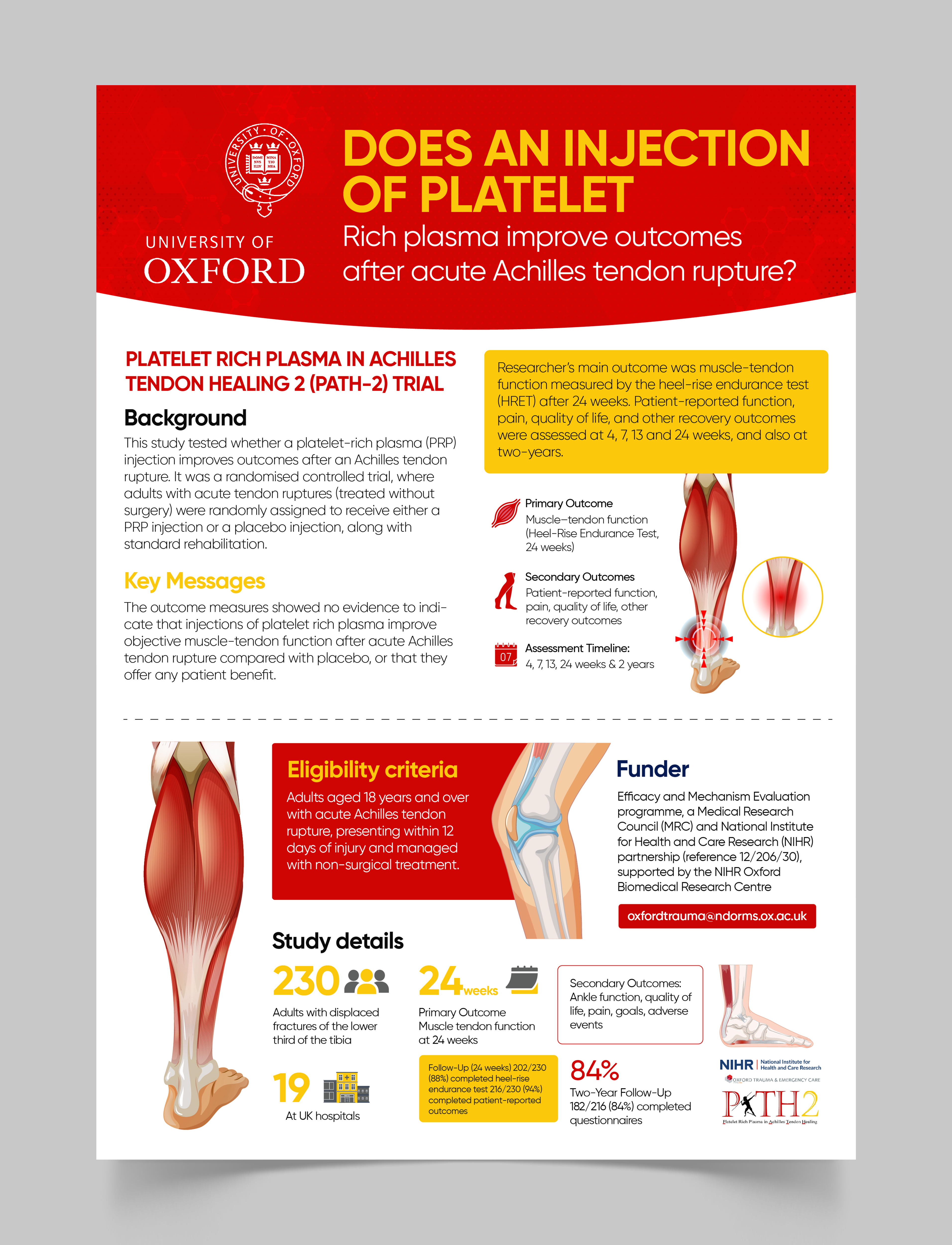 Diseño Infográfico por Graphic Guy para este proyecto | Diseño #36710947