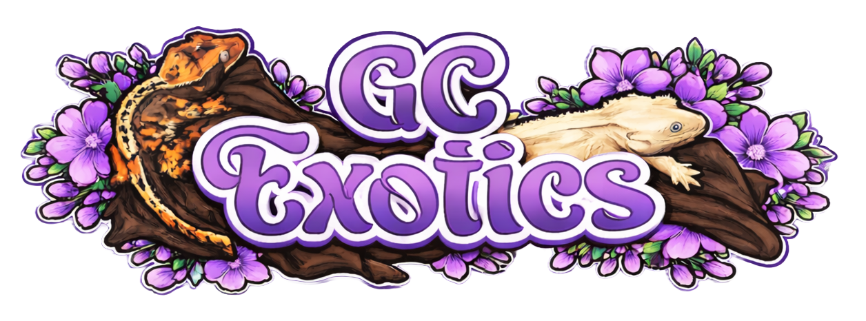 Logo Design by oltredisegno for this project | Design #36686544