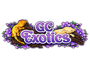 Logo Design by Isnah Logo for this project | Design: #36687062