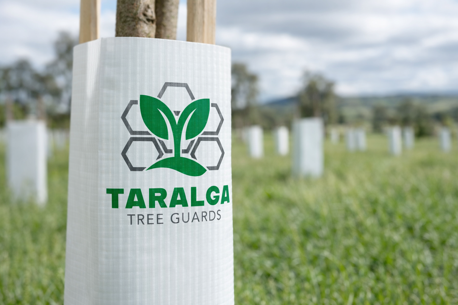 Design de Logo par BMF Design pour ce projet | Design #36694946