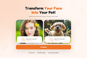 Web Design by NZ Creatives