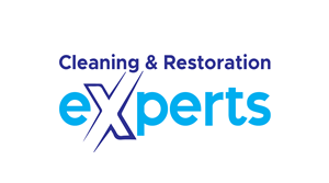 Logo Design by TheViral