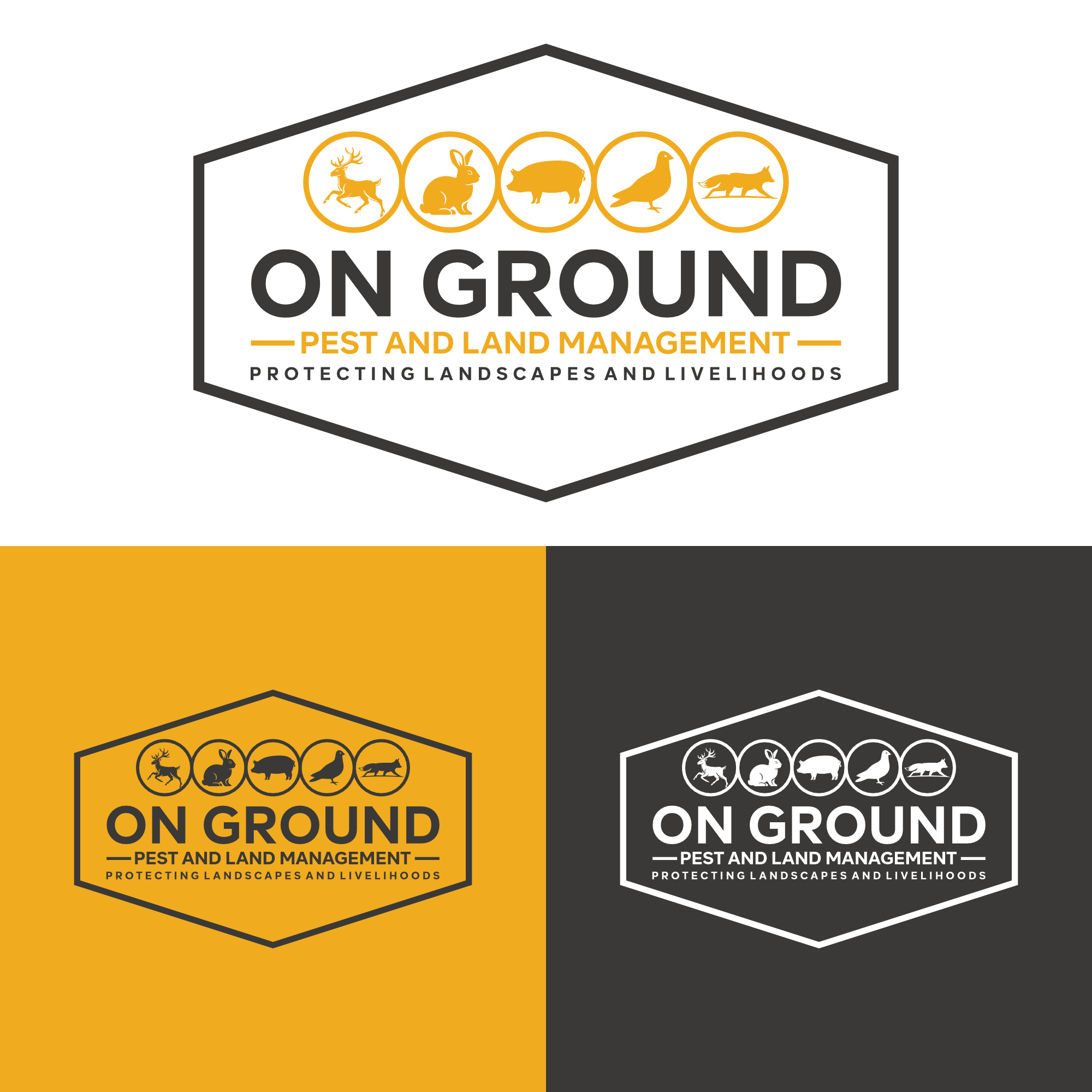 Logo-Design von andreaslucky für dieses Projekt | Design #36711325