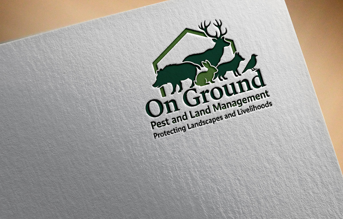 Logo-Design von devid1ar für dieses Projekt | Design #36712769