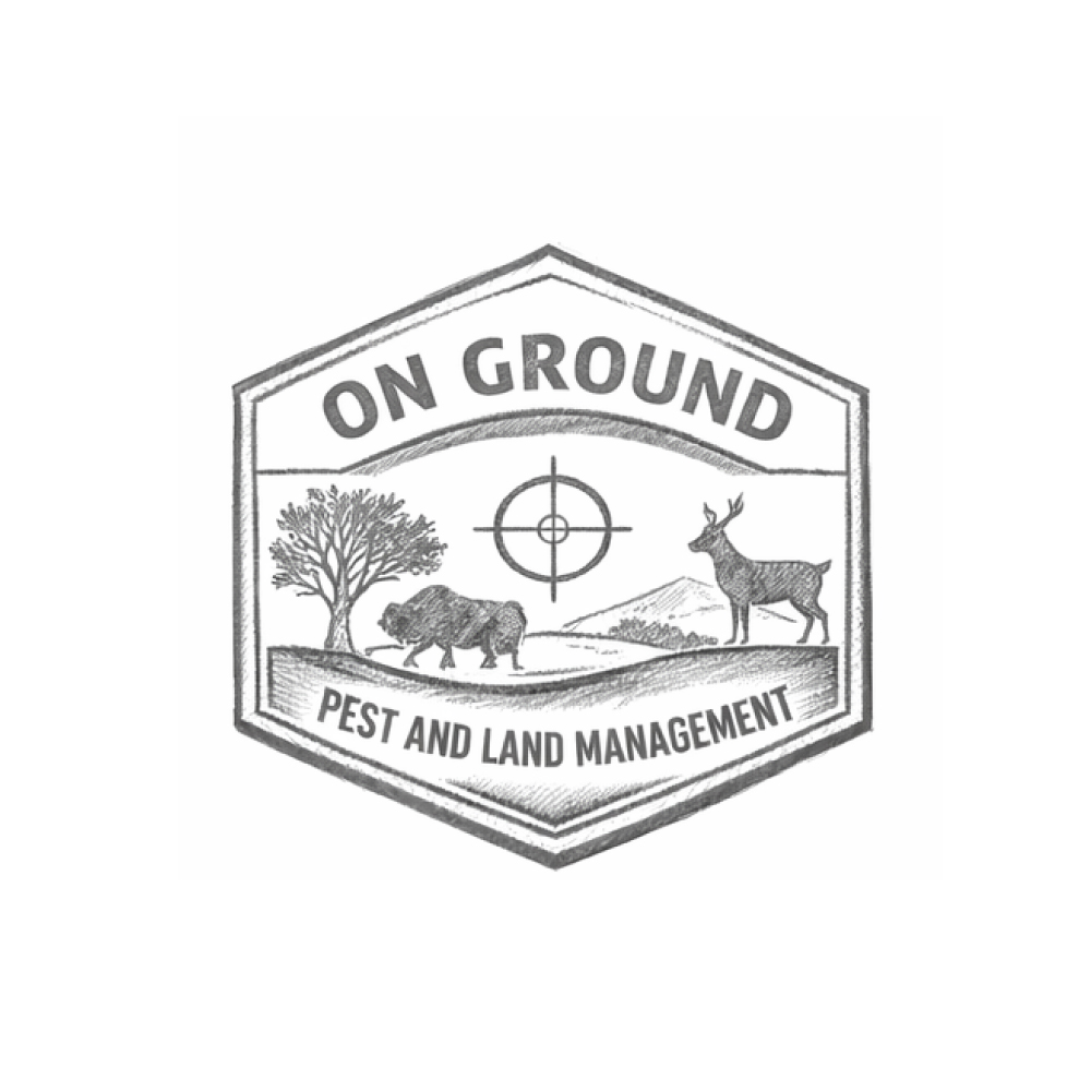 Logo-Design von Transformed Design Inc. für dieses Projekt | Design #36739524