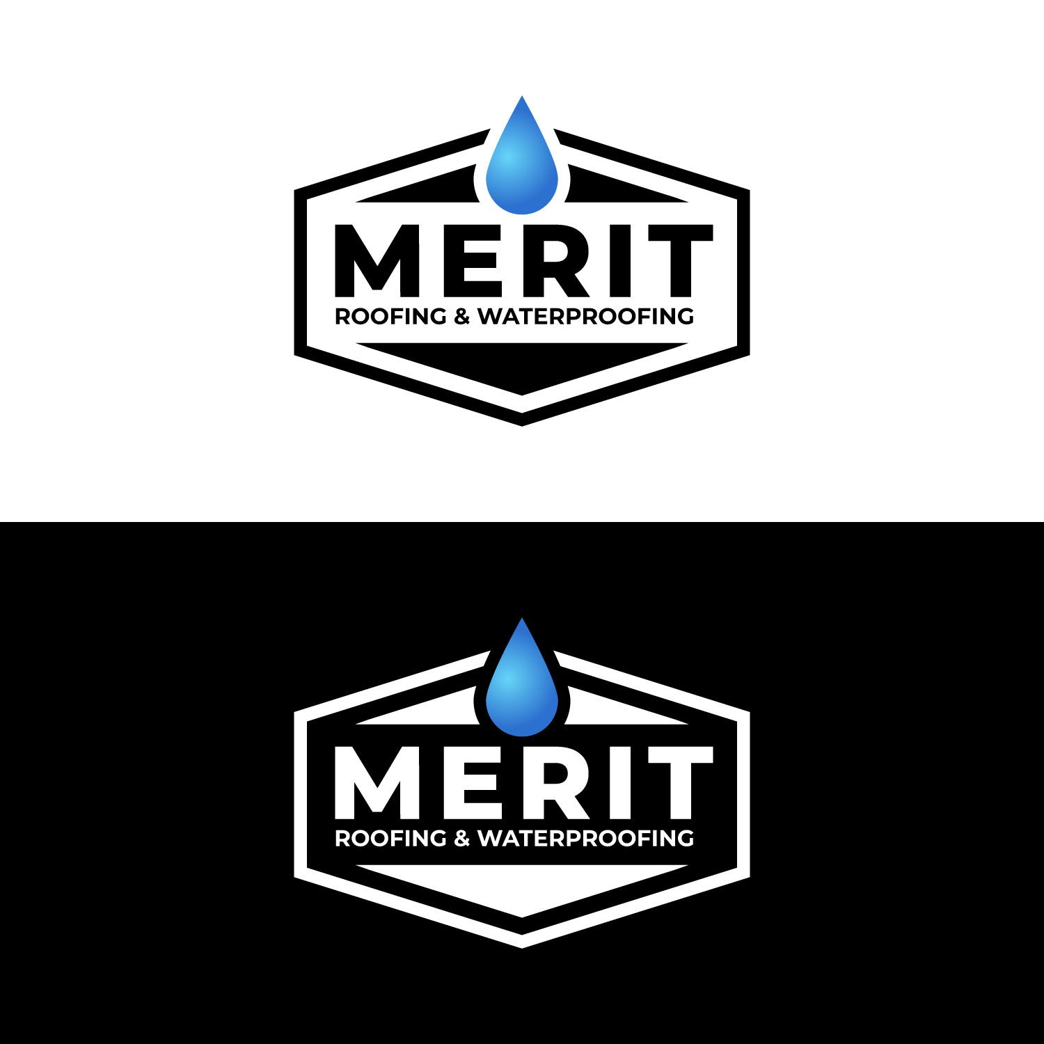 Logo Design by zogo for this project | Design #36721012