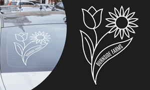 Merchandize Design by Daud Nadeem