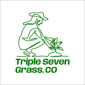 Logo Design by MavenDesign. for this project | Design: #36723581