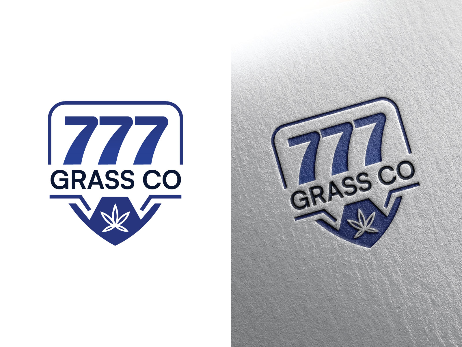 Logo Design by mahmod oi for this project | Design #36715009