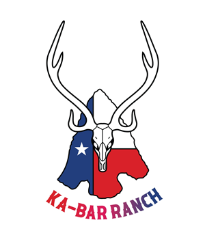 Graphic Design by HAREESH (Creative Graphic Designer) for this project | Design #36715036