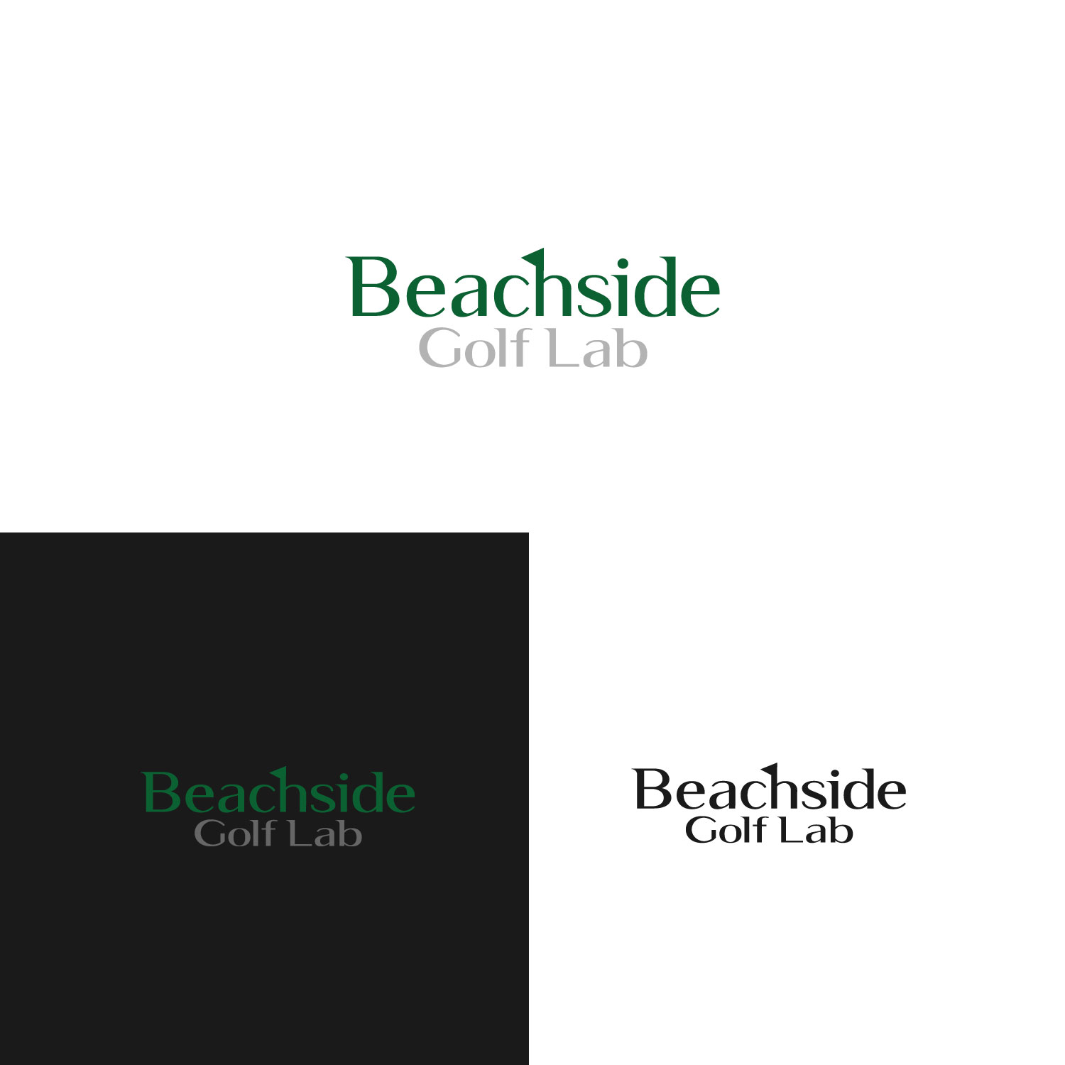 Logo Design by Art_lv for this project | Design #36743217