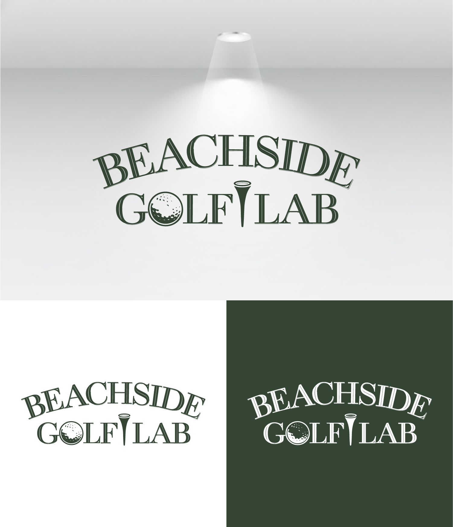 Logo-Design von AuraStudio für dieses Projekt | Design #36727854