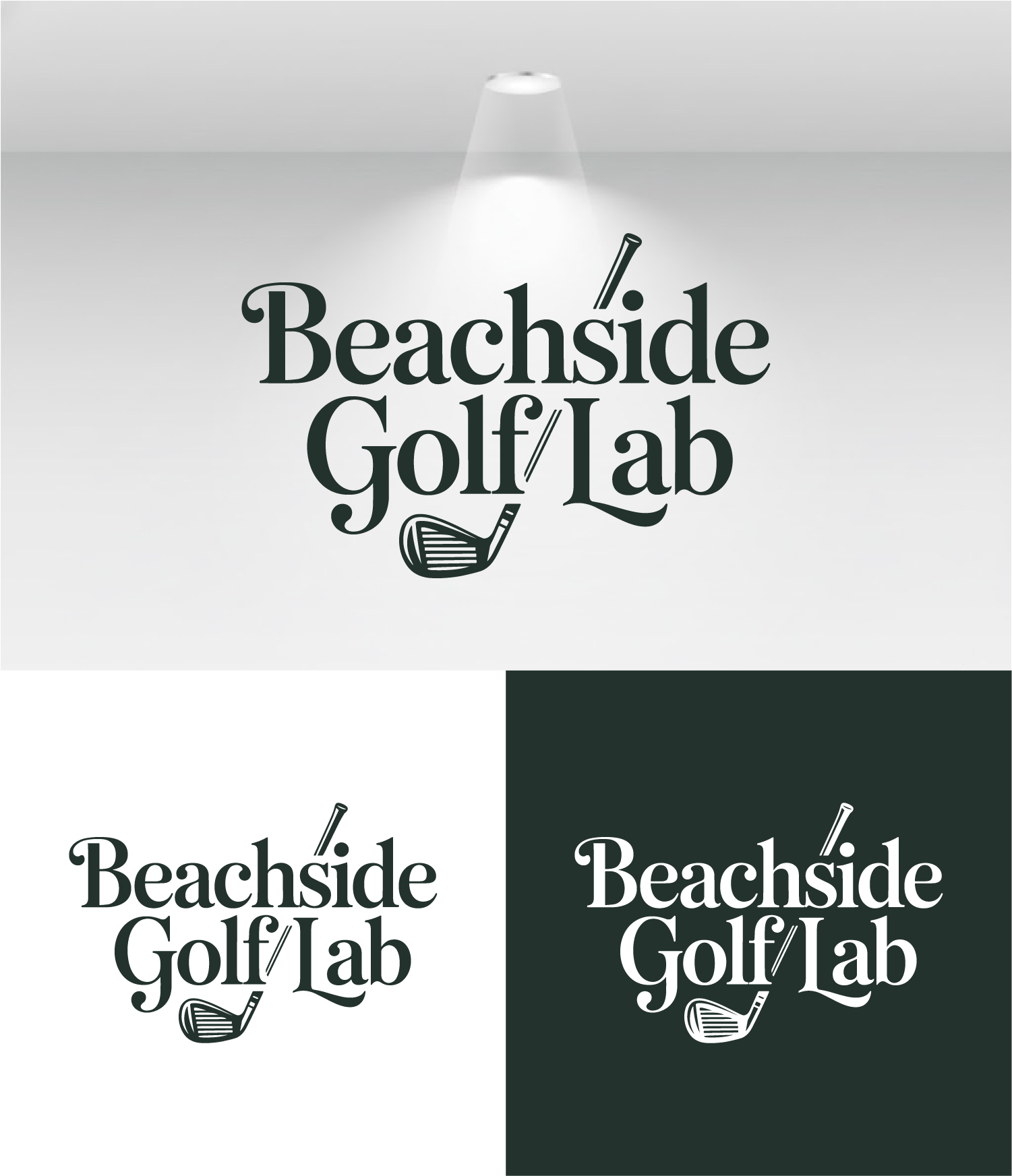 Logo-Design von AuraStudio für dieses Projekt | Design #36727856