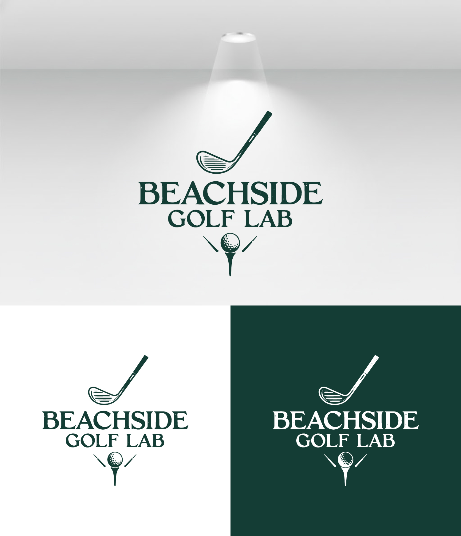 Logo-Design von AuraStudio für dieses Projekt | Design #36733566