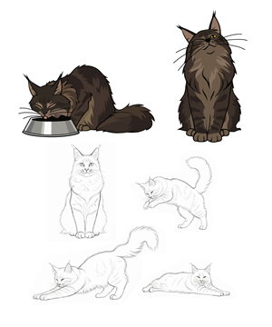 Graphic Design by StudioD™ for this project | Design: #36725134