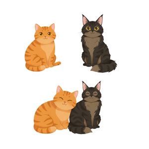 Graphic Design by Iambolders for this project | Design: #36728888