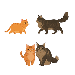 Graphic Design by Iambolders for this project | Design: #36728903