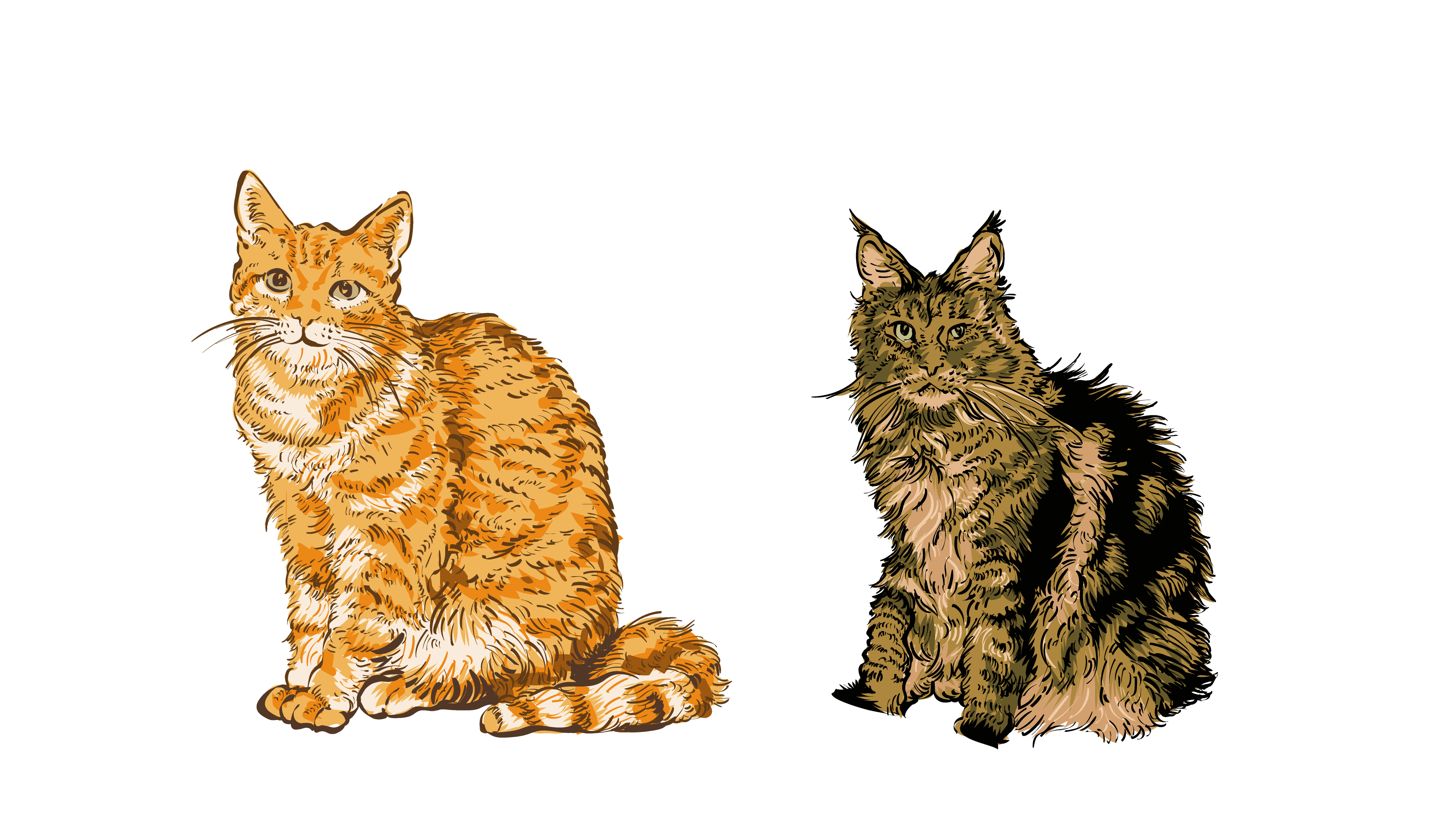 Graphic Design by Baraka Joe for this project | Design #36752041