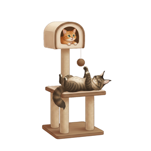 Graphic Design by ZEKKOUR Fouzi for this project | Design: #36749457