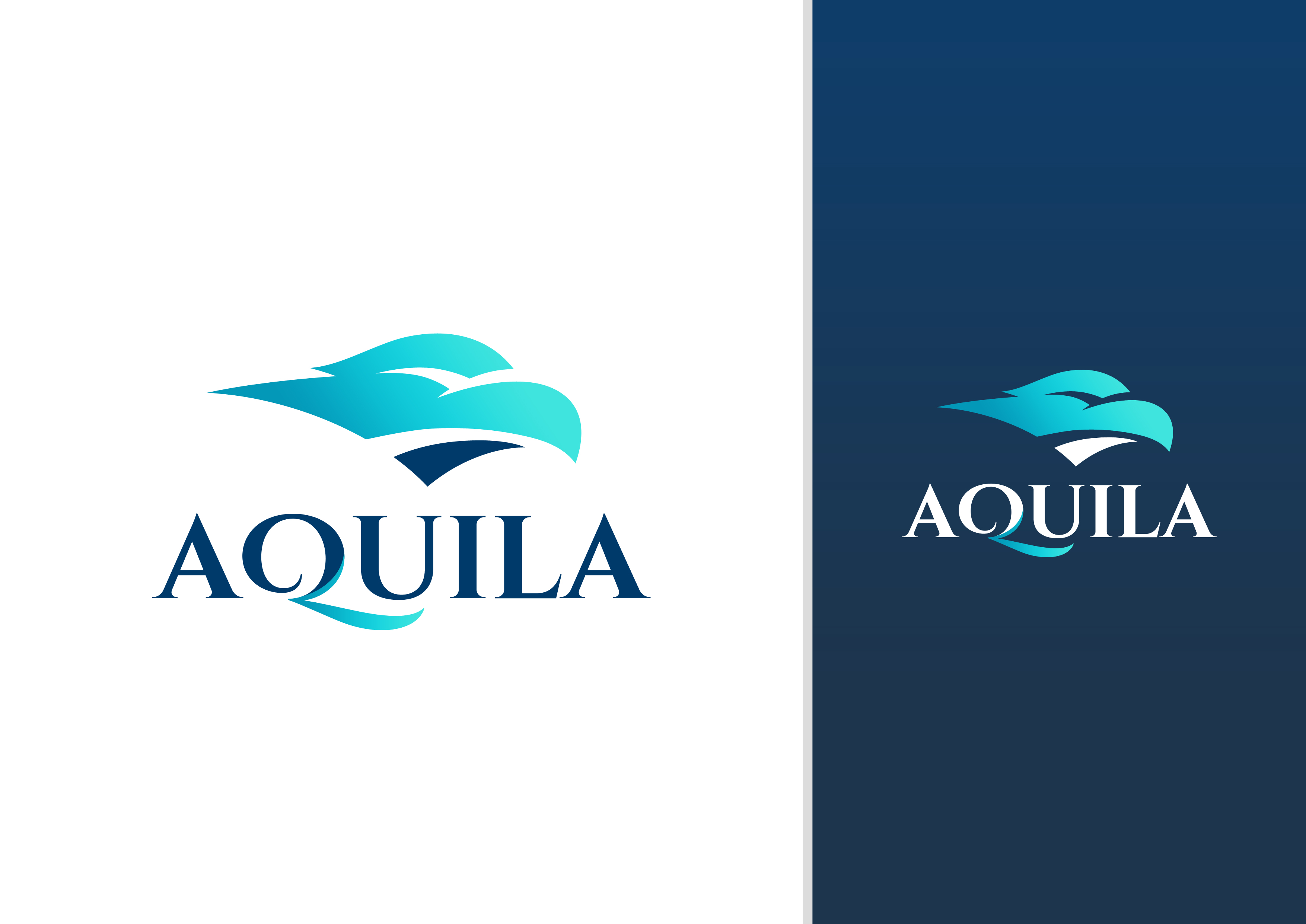 Logo Design by DoveFendi for this project | Design #36719631