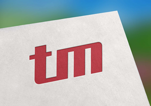 Diseño de Logo por HaveTake para este proyecto | Diseño: #36730825