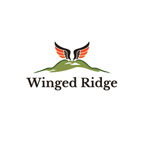 Design de Logo par Casey Kelechi pour ce projet | Design : #36732403