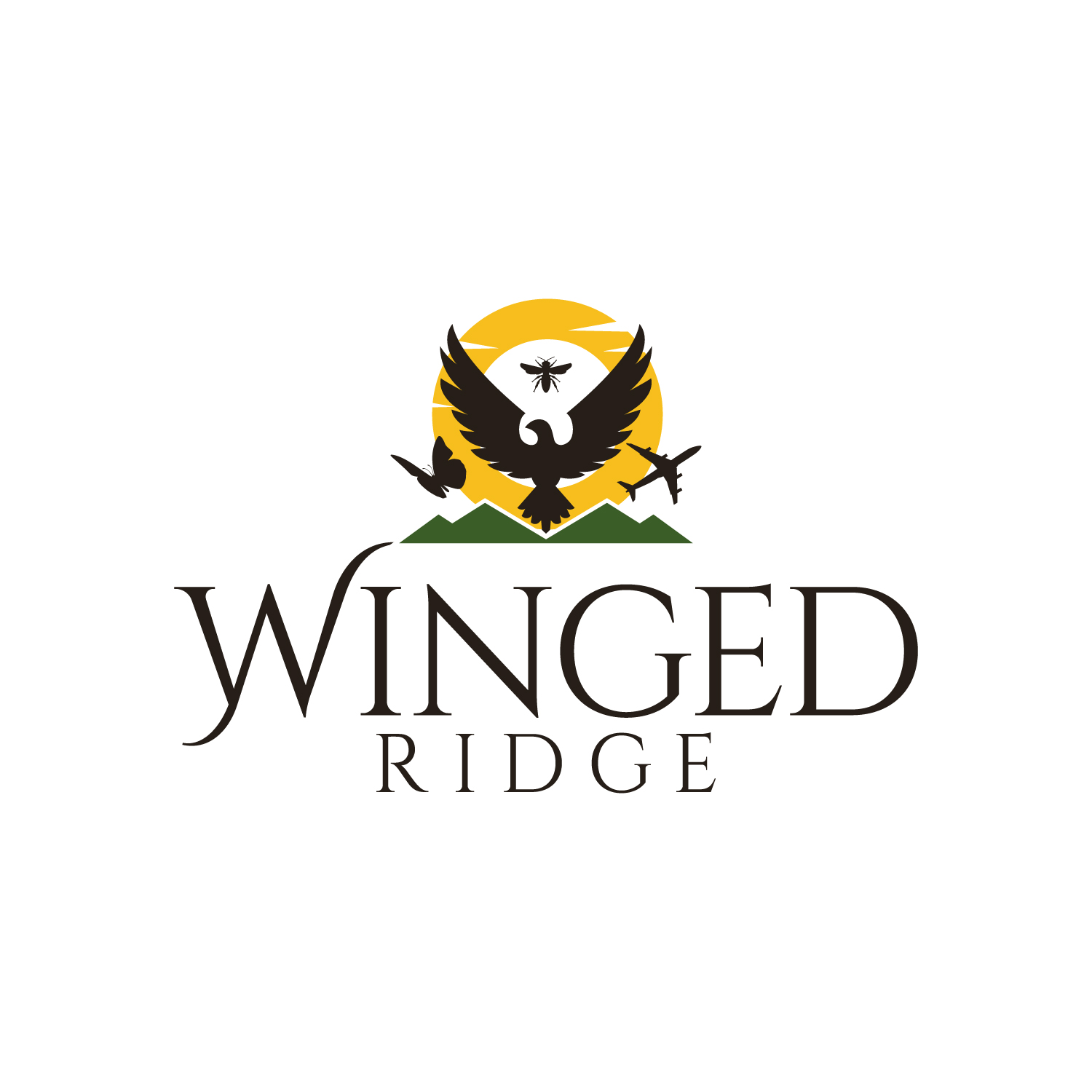 Design de Logo par Krold IT Solutions pour ce projet | Design #36731838