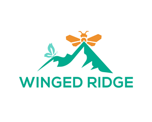 Logo Design by Roohi Studio