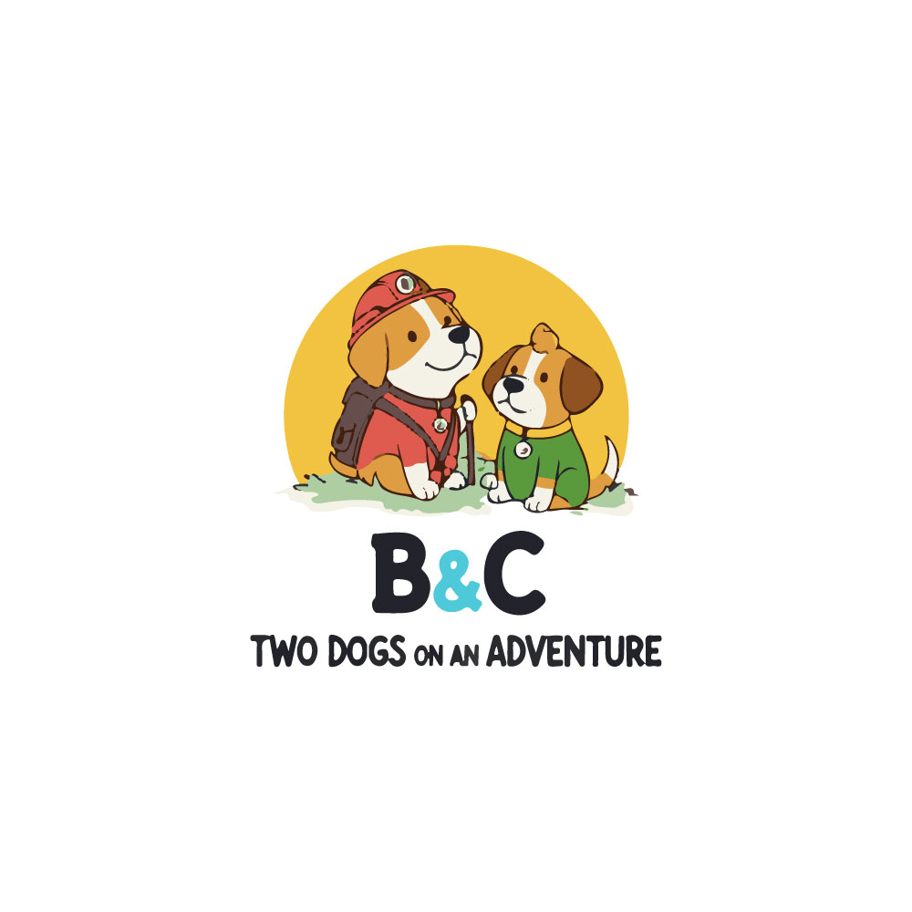 Logo Design by Adobe Expert 360 for this project | Design #36731507