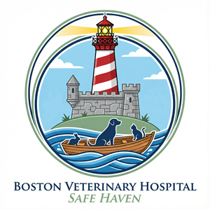 Logo Design by Usman_UI for this project | Design: #36749062