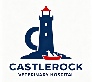 Logo Design by Kkanti for this project | Design: #36774934