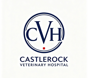 Logo Design by Kkanti for this project | Design: #36774935