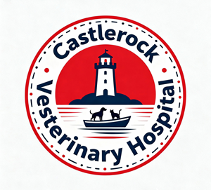 Logo Design by Kkanti for this project | Design: #36774938